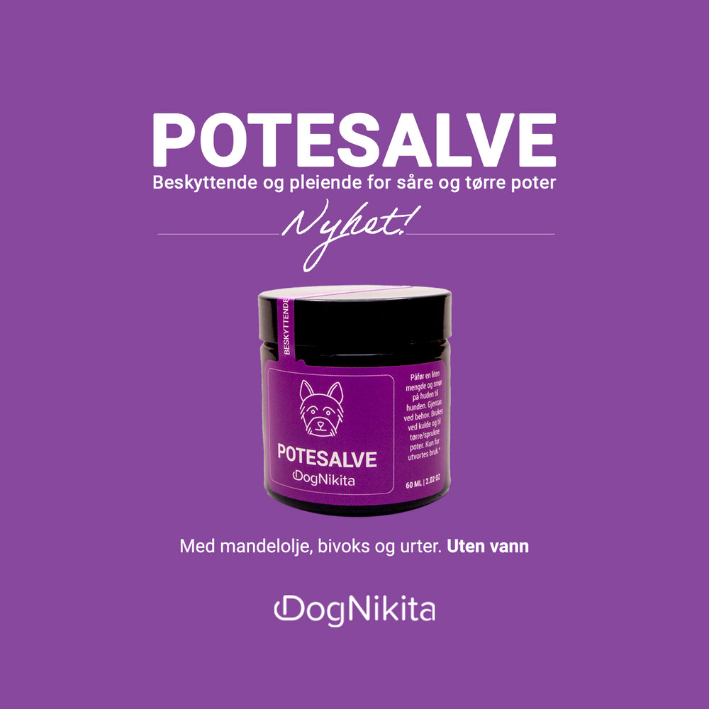 DogNikita Potesalve 60 ml