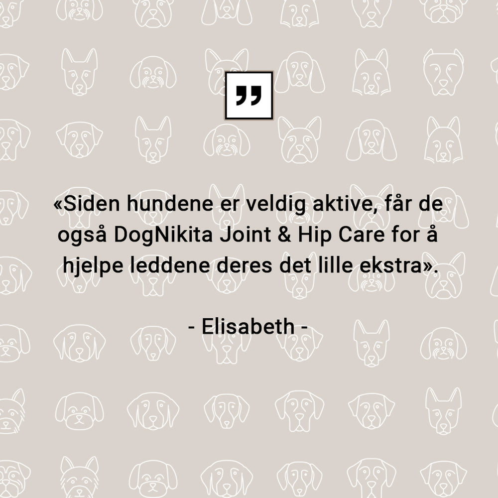 DogNikita Joint & Hip Care - 100 tbl